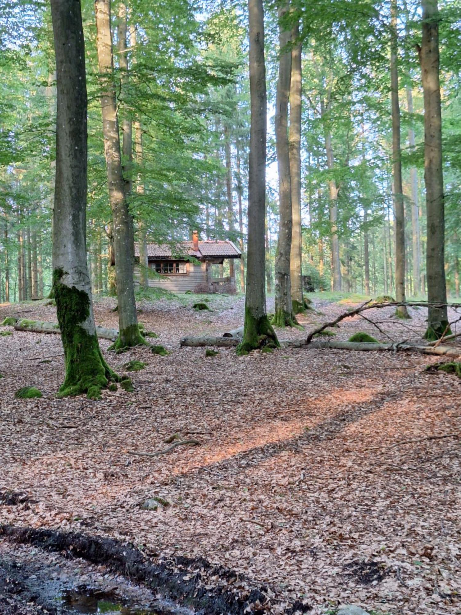 Bjaernhultsgardens Stugor Linderod Exteriér fotografie